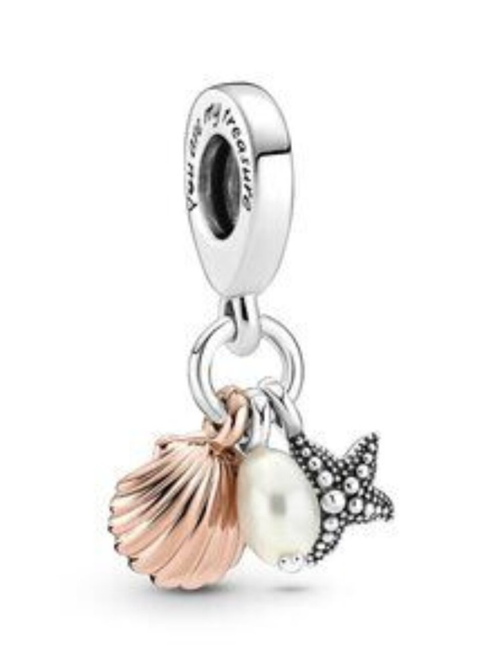 Pandora charms